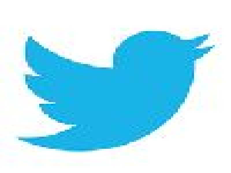 Flying Twitter Bird